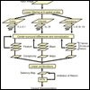 Click here to see the Canadian Wives Bureau Flow Chart